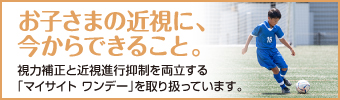マイサイトワンデー